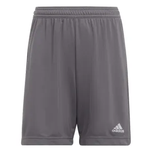 adidas Entrada 22 Shorts - Youth