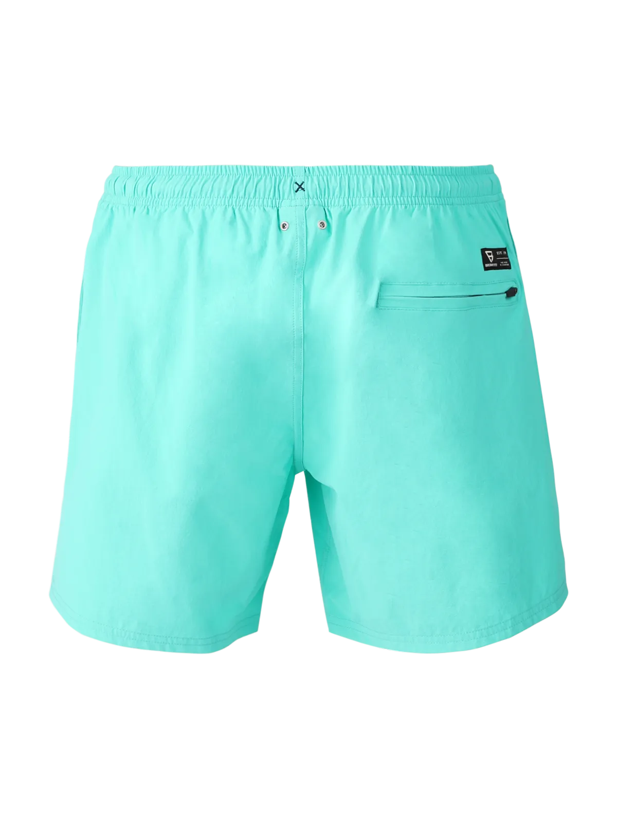 Cester Men Swim Shorts | Caribbean Green