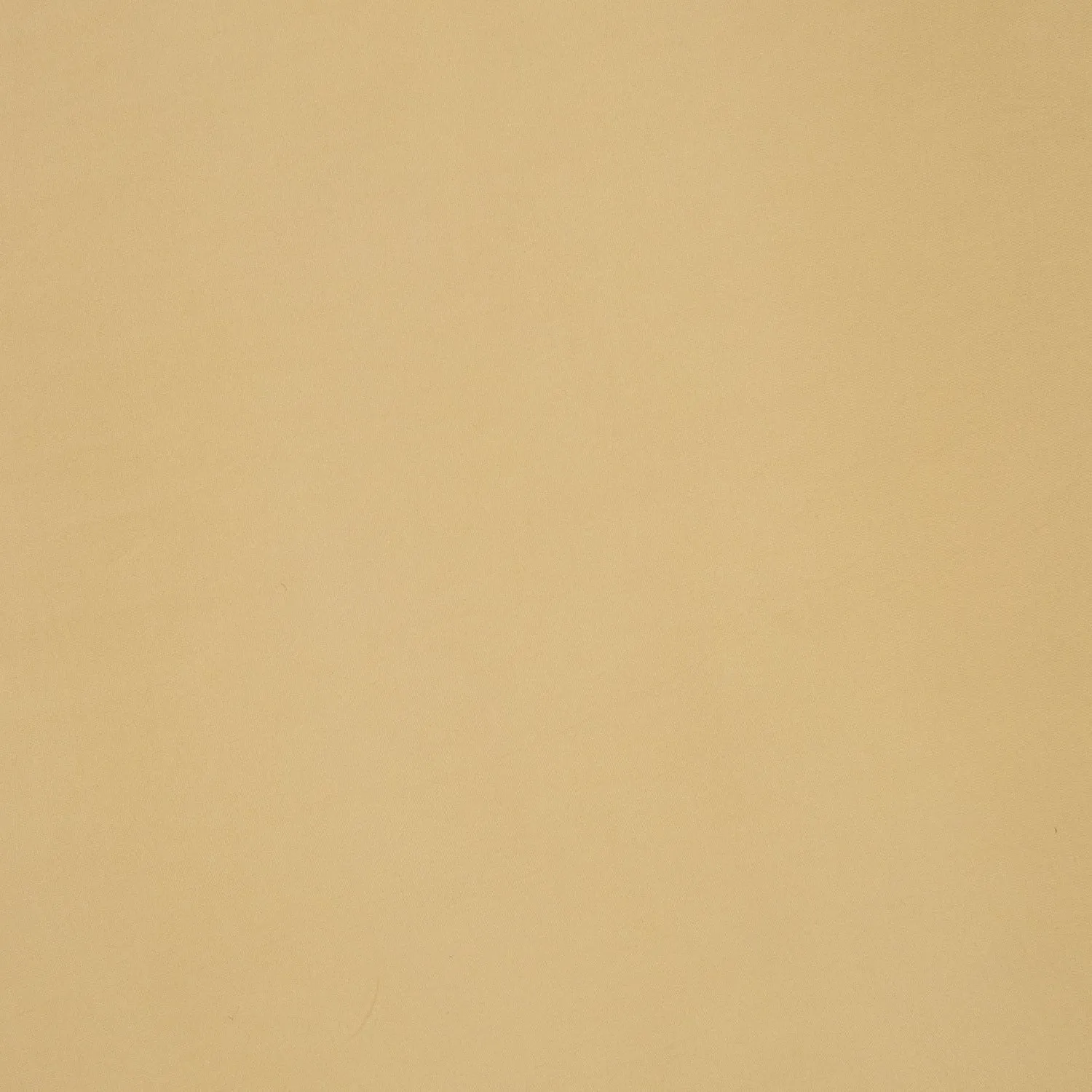 Cotton Lycra Amarula