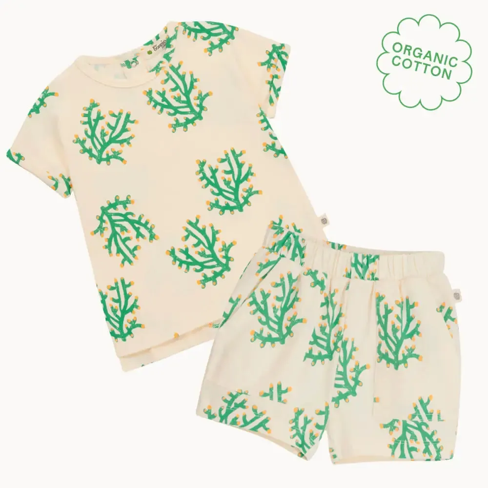 Cruz & Coley Set - Coral Shorts & T-shirt Set