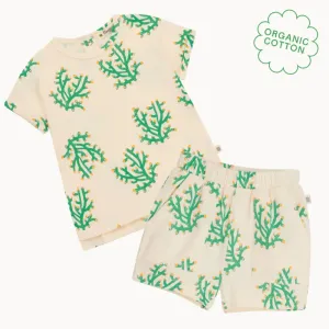 Cruz & Coley Set - Coral Shorts & T-shirt Set