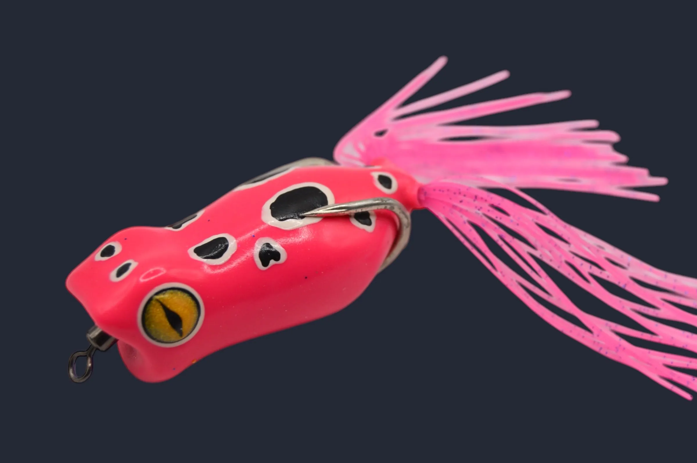 DragN Pop