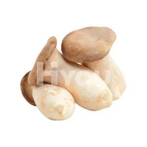 Fresh King Oyster Mushroom 200g ~ 新鮮杏鮑菇 200g