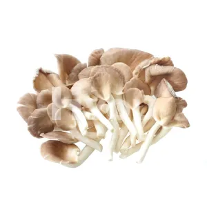 Fresh Oyster Mushroom 350g ~ 新鮮秀珍菇 350g