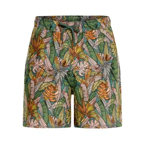 HALF ATRATO BROWN SHORTS