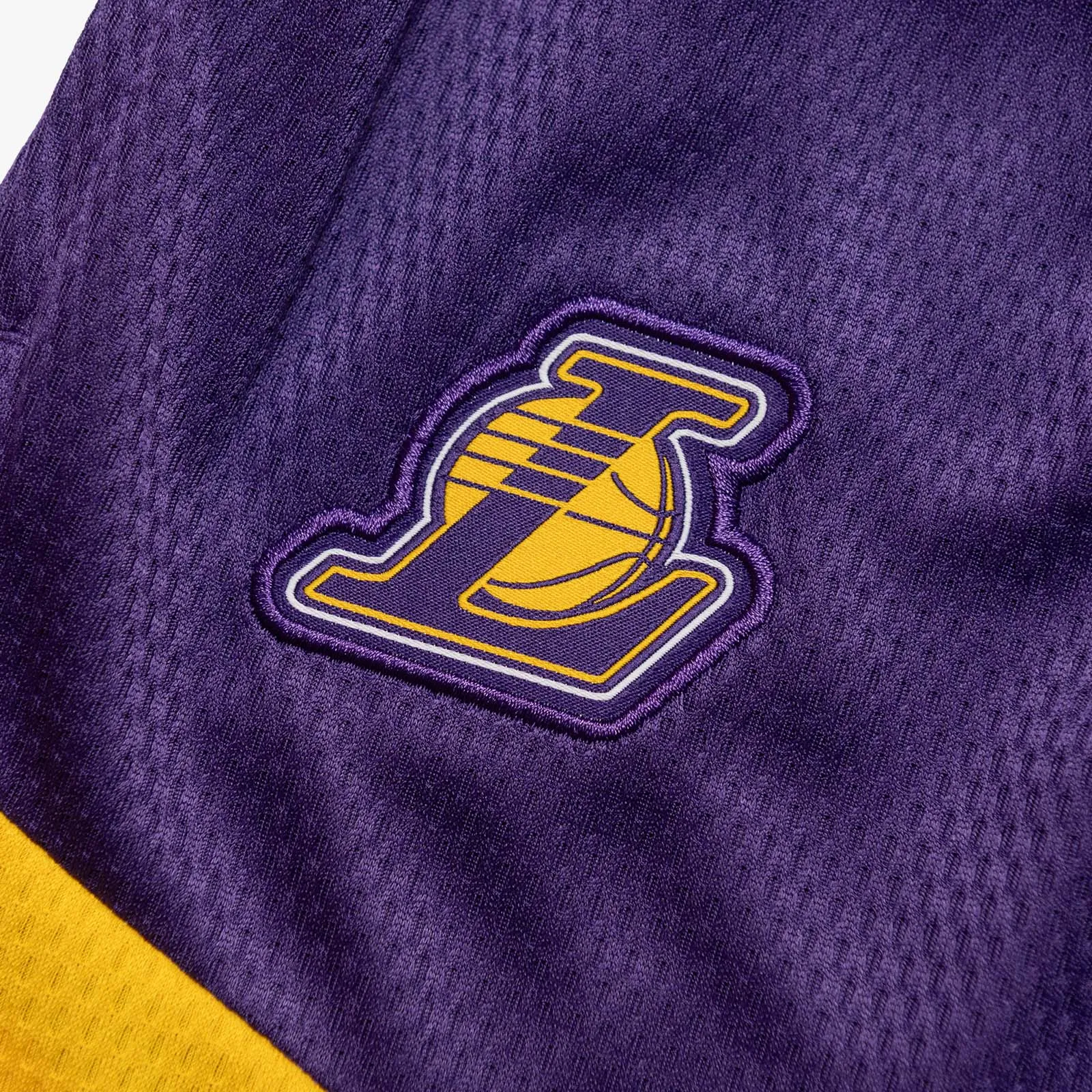 Los Angeles Lakers Icon 8" Practice Shorts - Purple
