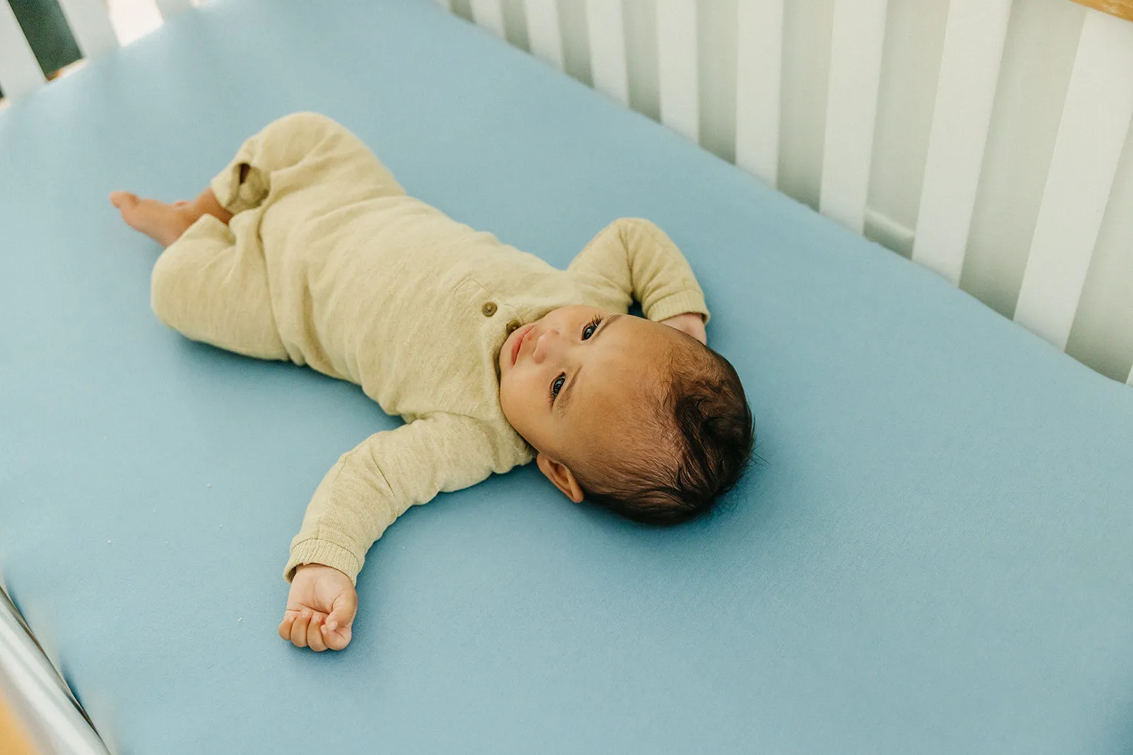 Premium Knit Fitted Crib Sheet - Robin