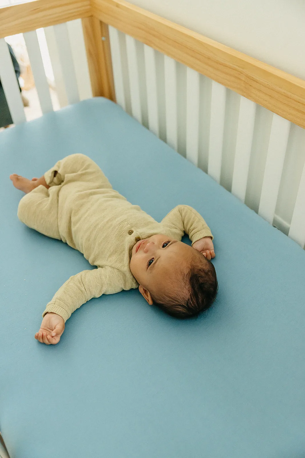 Premium Knit Fitted Crib Sheet - Robin