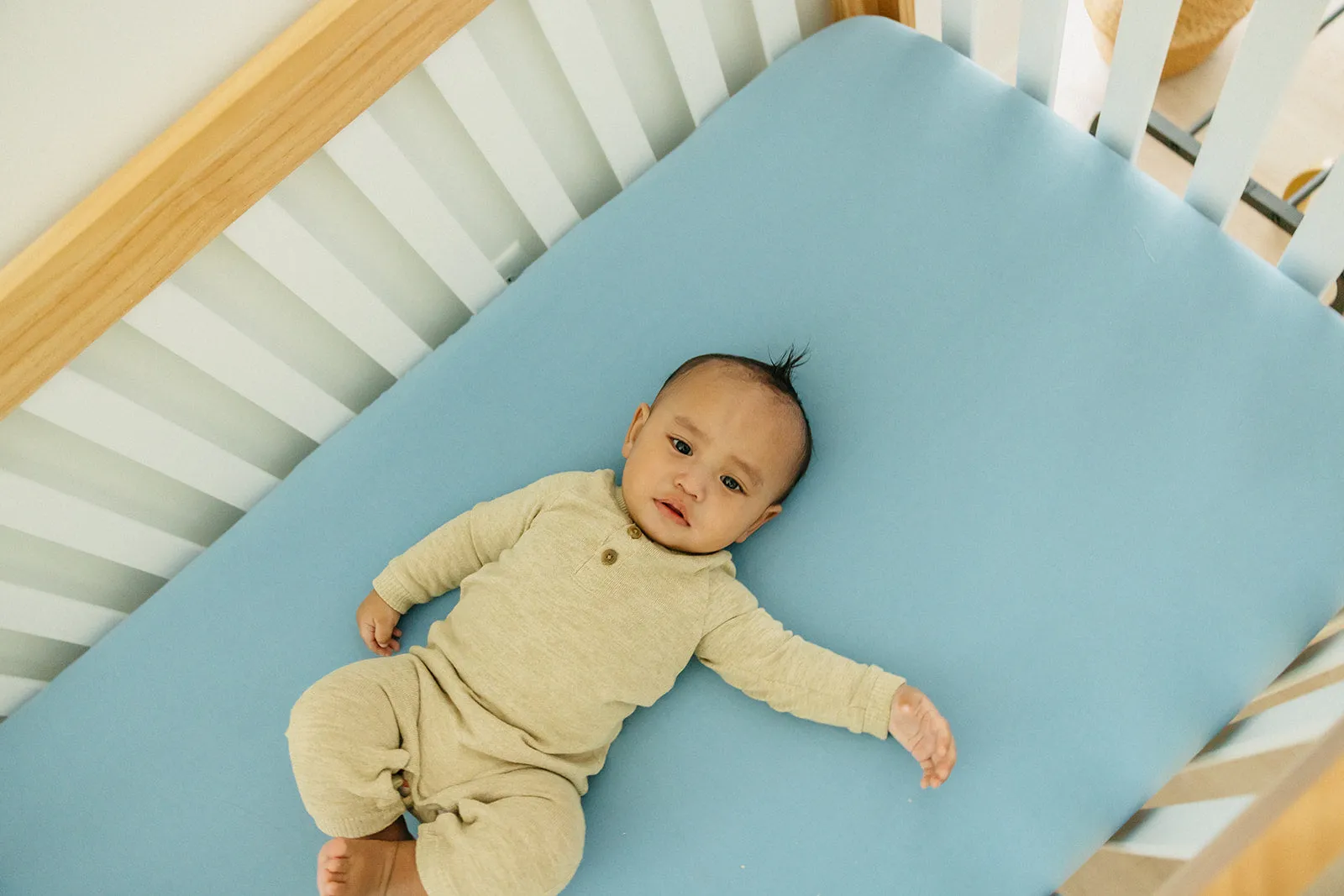 Premium Knit Fitted Crib Sheet - Robin
