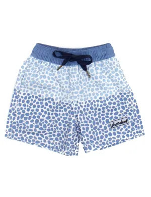 Properly Tied Boys Shordees Swim - Pebble