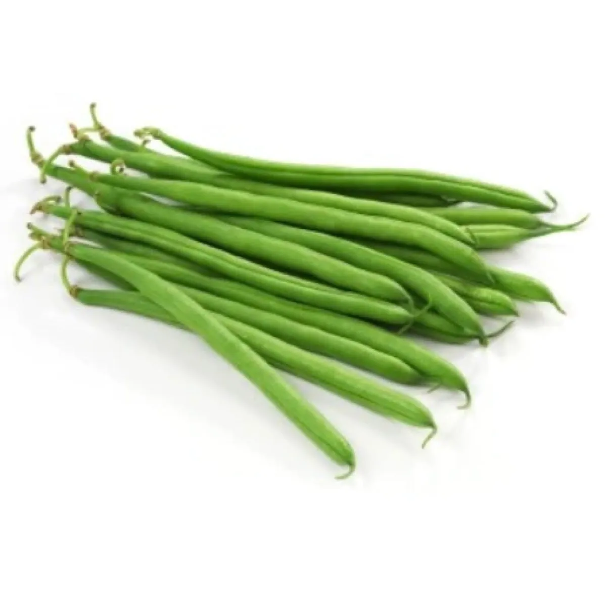 Watts Farms Beans Fine 200g