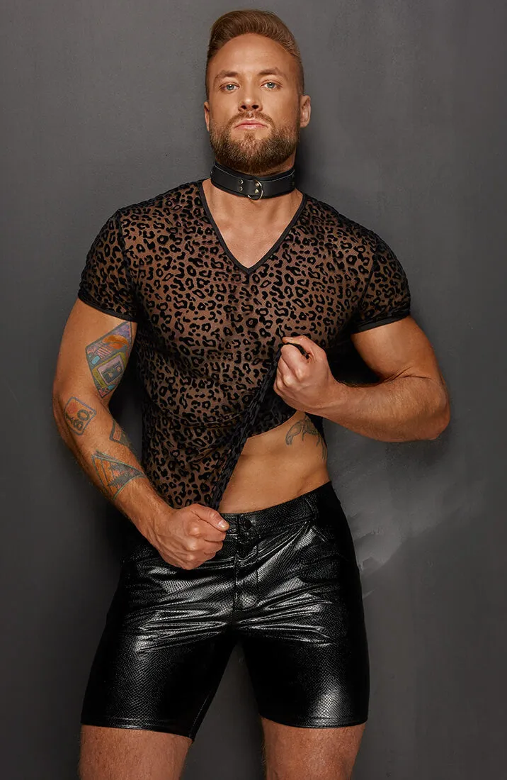 Wet look X snakeskin shorts - Consistent Player